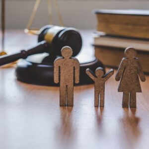 Family law mediation is faster than going through the court process.